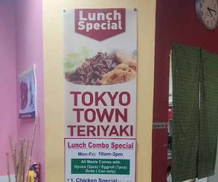 Tokyo Town Teriyaki