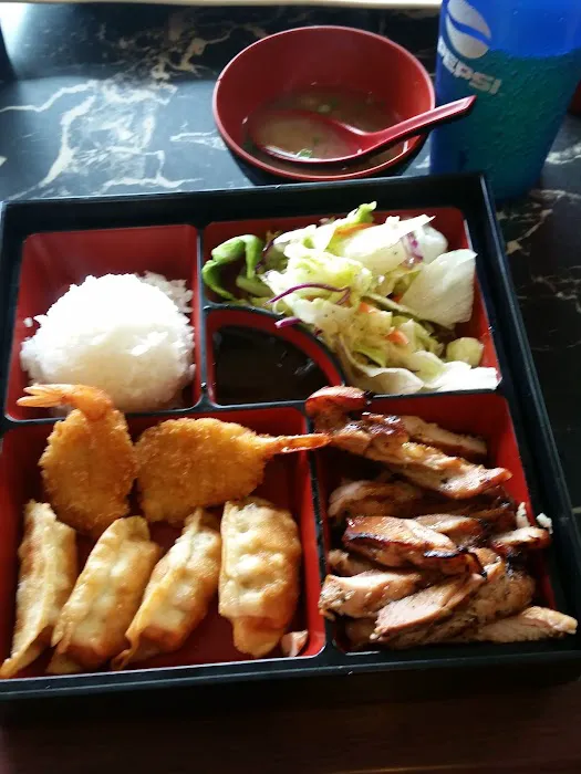 Nikko Teriyaki Picture 8