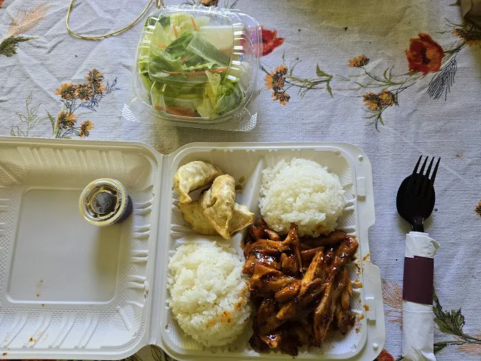 Kami Teriyaki Picture 4