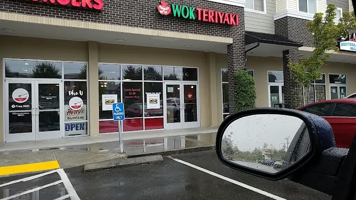 Ringo Wok Teriyaki Picture 2
