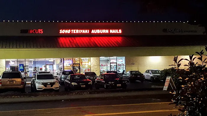 Soho Teriyaki Picture 6