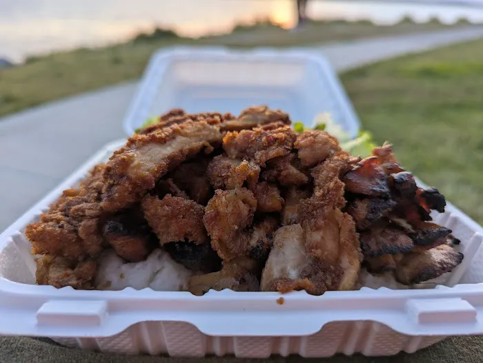 Nikko Teriyaki Picture 1