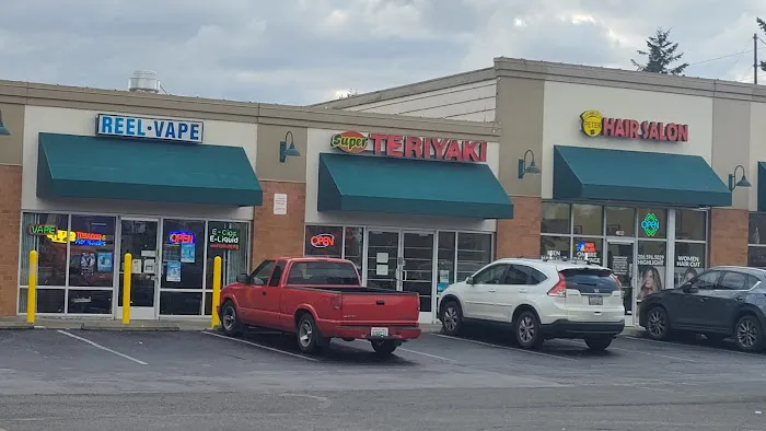 Super Teriyaki Picture 3