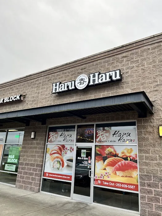 Haru Haru Sushi & Teriyaki Picture 4