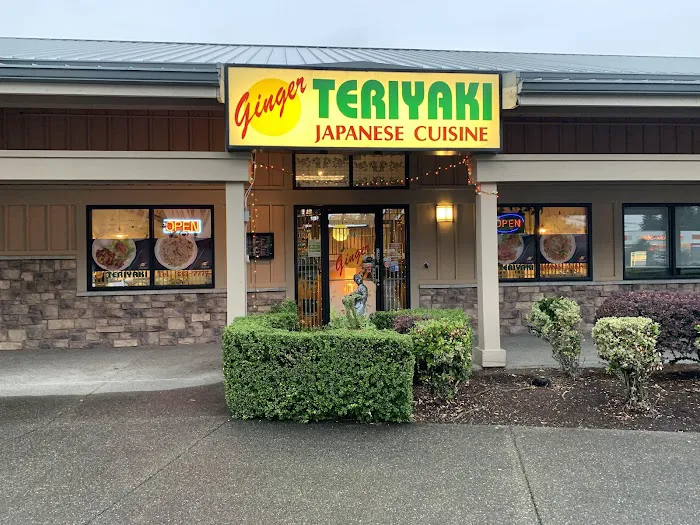 Ginger Teriyaki II Picture 8