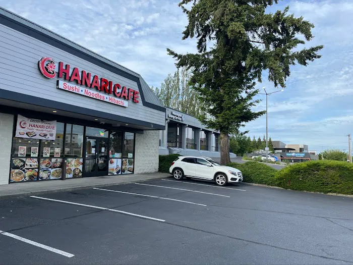 Hanari Sushi & Ramen &Wok Picture 5