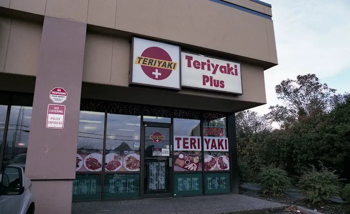Teriyaki Plus Picture 5