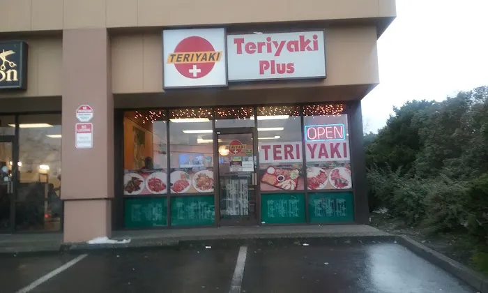 Teriyaki Plus Picture 8