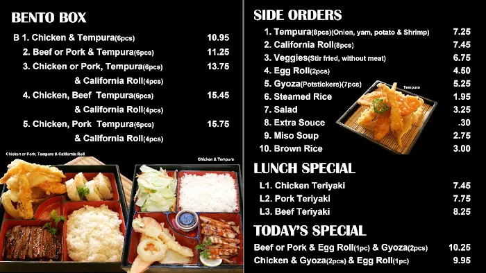 Teriyaki Plus Picture 4