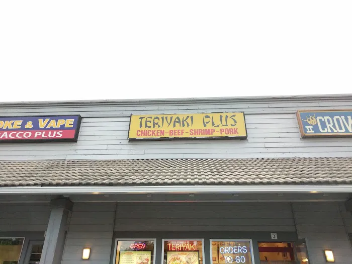 Teriyaki Plus Picture 3