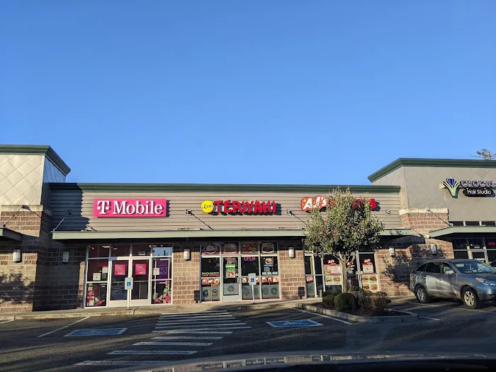 Kami Teriyaki Picture 4