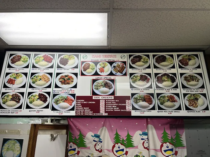 Kami Teriyaki Picture 4