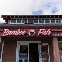 Bamboo Fish ico