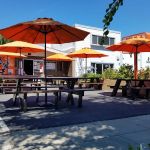 Dohatsuten Ramen & Tapas