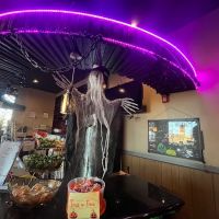 Nobu Hibachi Sushi ico