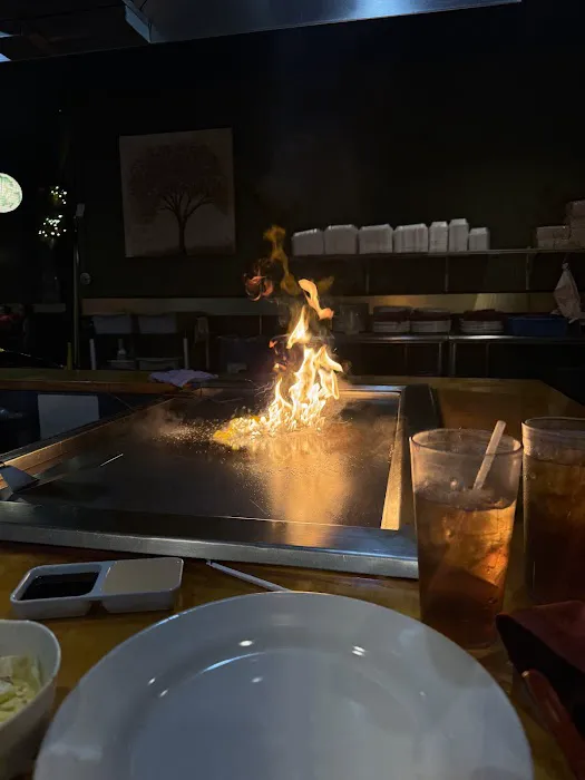 Toyama Japanese Steak House Picture 6