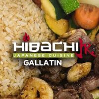 Hibachi Jr ico