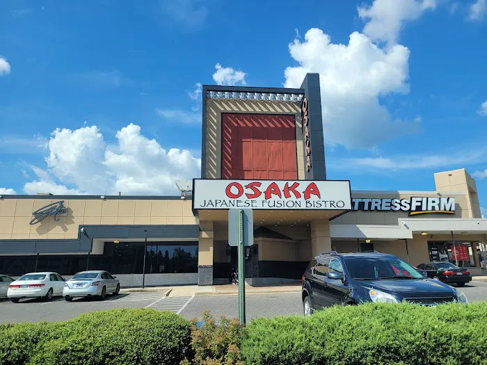 Osaka Picture 3