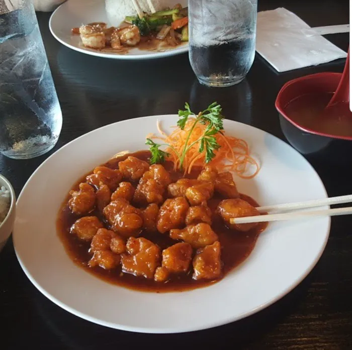 Osaka Picture 8