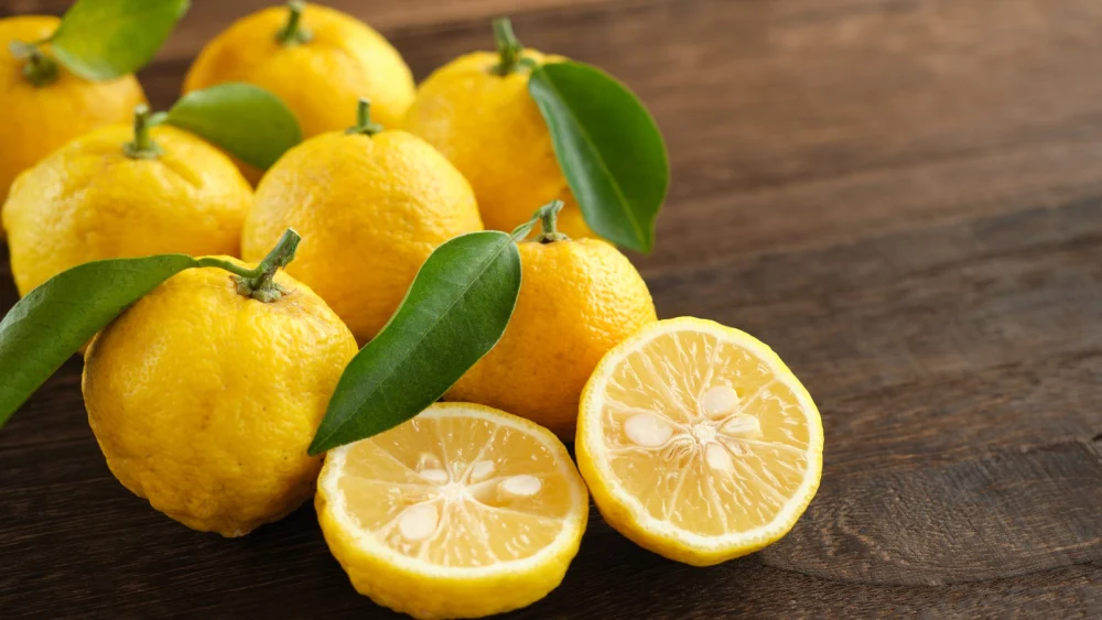 What Is Yuzu Japanese Restaurant Ingredient? A Flavorful Introduction
