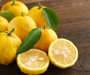 What Is Yuzu Japanese Restaurant Ingredient? A Flavorful Introduction