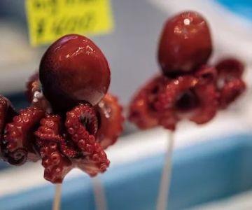 How to Eat Octopus in a Japanese Restaurant Like a Local