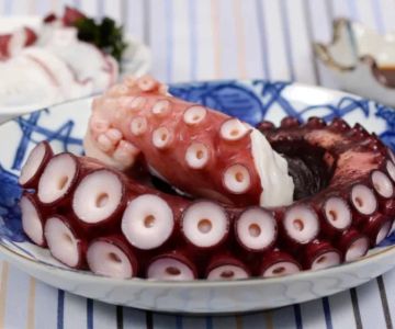 How to Eat Octopus in a Japanese Restaurant the Right Way