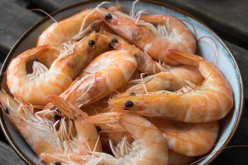 Is All Shrimp in Japanese Restaurants Cooked? What You Should Know