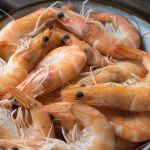 Is All Shrimp in Japanese Restaurants Cooked? What You Should Know