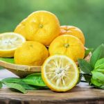 What Is Yuzu Japanese Restaurant? Discover the Meaning and Experience