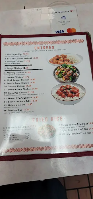 Cho Asian Cuisine & SUSHI HOUSE Picture 10
