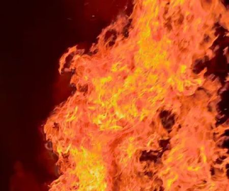 Sushi Lin's (SUSHI D)