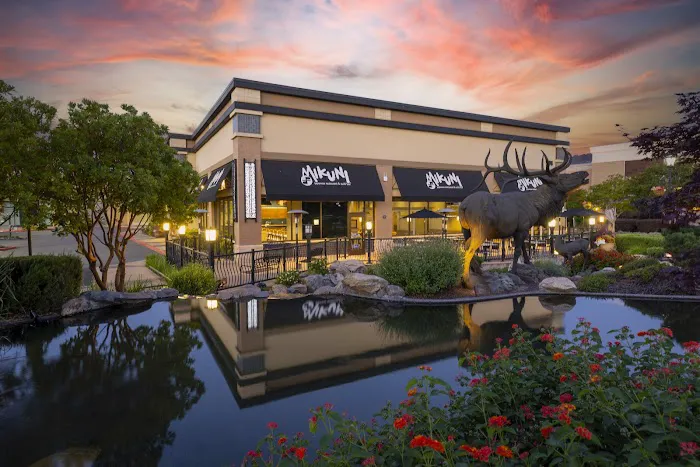 Mikuni at Fountains Picture 7