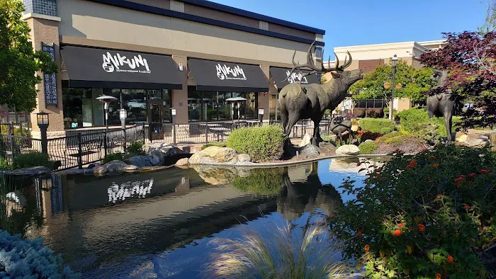 Mikuni at Fountains Picture 6