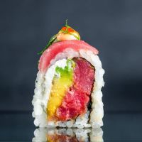 SUSHARK ico