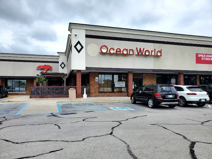 Ocean World Picture 7
