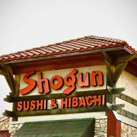 Shogun ico