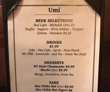 Exploring the Menu at Umi Japanese Restaurant