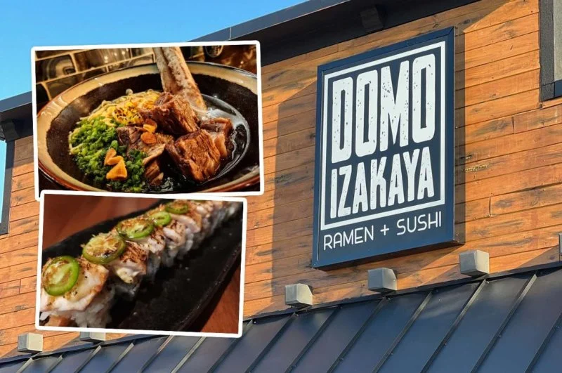 Why Locals Recommend Domo Japanese Restaurant – Authentic Dining Experience in the US