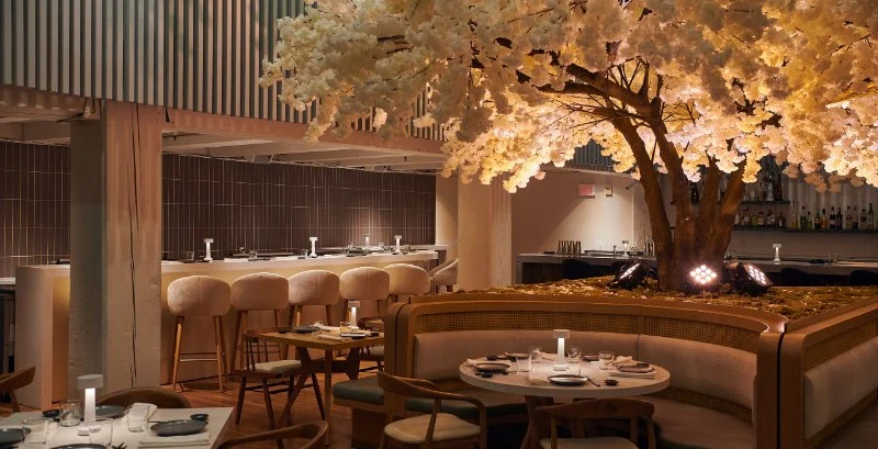 Why Takara Japanese Restaurant Stands Out Among Japanese Restaurants