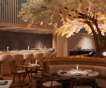 Why Takara Japanese Restaurant Stands Out Among Japanese Restaurants