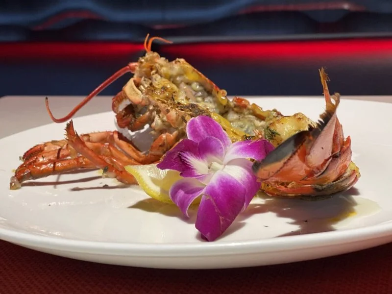 An Insider’s Review of Suteishi Japanese Restaurant: A Dining Experience You Can’t Miss