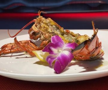 An Insider’s Review of Suteishi Japanese Restaurant: A Dining Experience You Can’t Miss