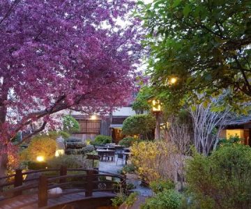 Why Locals Recommend Domo Japanese Restaurant: A Hidden Gem in the Neighborhood