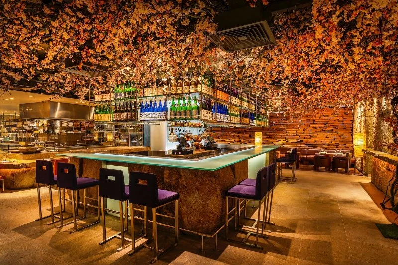 Why A1 Japanese Restaurant Is a Must-Try Spot for Japanese Food Lovers | Japanese Restaurant