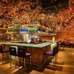 Why A1 Japanese Restaurant Is a Must-Try Spot for Japanese Food Lovers | Japanese Restaurant