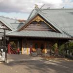 The History and Flavor Behind Mt. Fuji Japanese Restaurant