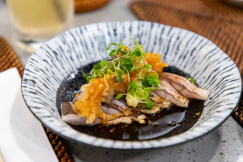 Insider’s Review of Akira Japanese Restaurant: A Culinary Experience