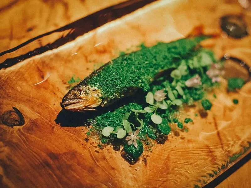 The History and Flavor Behind Fujiya Japanese Restaurant