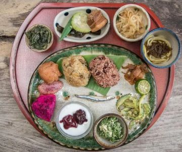 What Is the Okinawan Diet and Its Role in Longevity in Japan